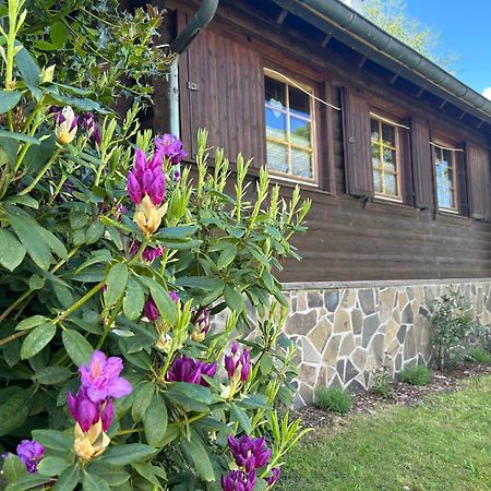 Blockhuette Engeln-Eifel Villa Kempenich Luaran gambar