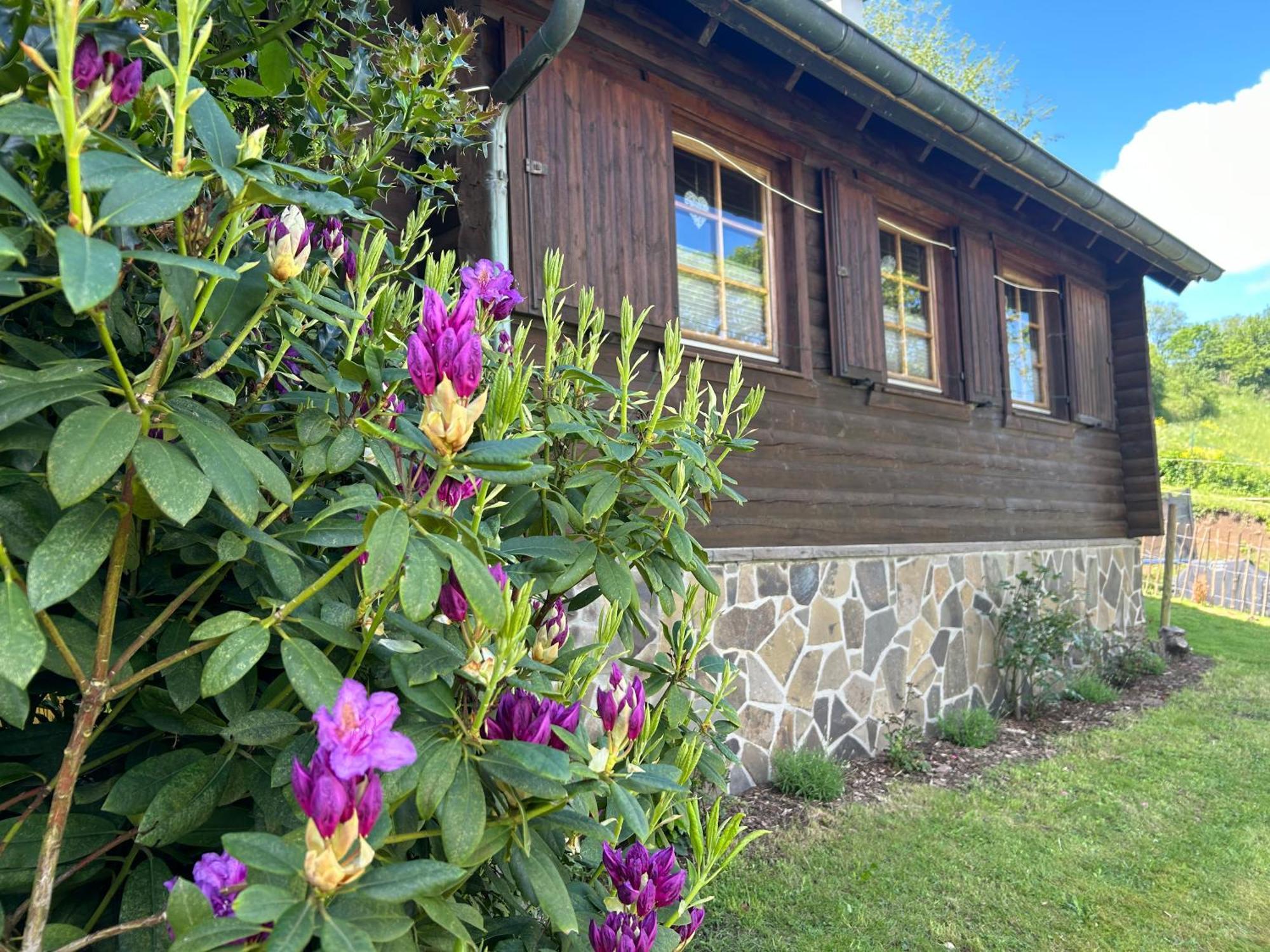 Blockhuette Engeln-Eifel Villa Kempenich Luaran gambar